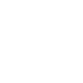 Icon - Government